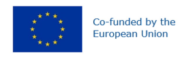 Co-founded by the EU